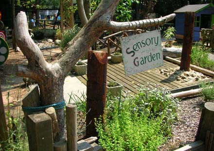 A Sensory Garden